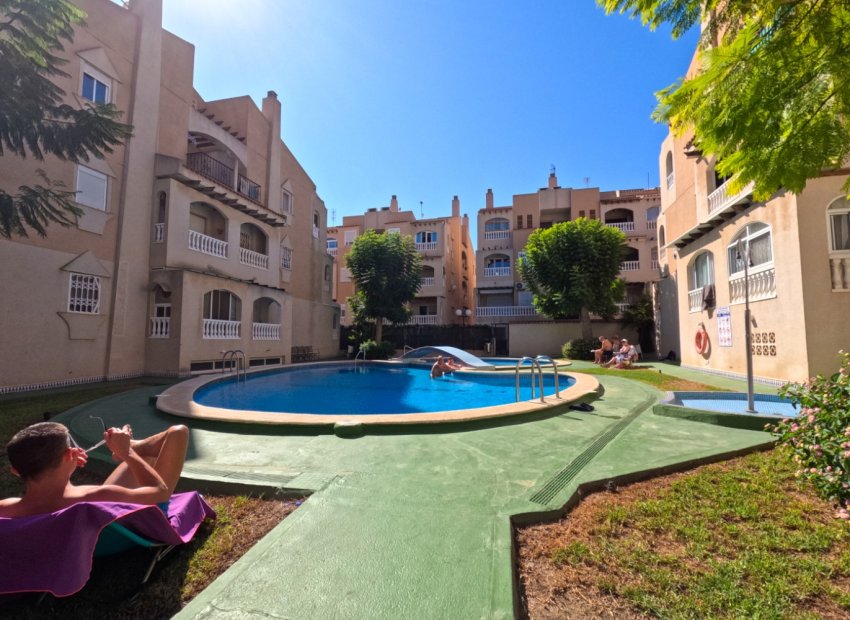 Herverkoop - Appartement / flat - Torrevieia - Torrevieja