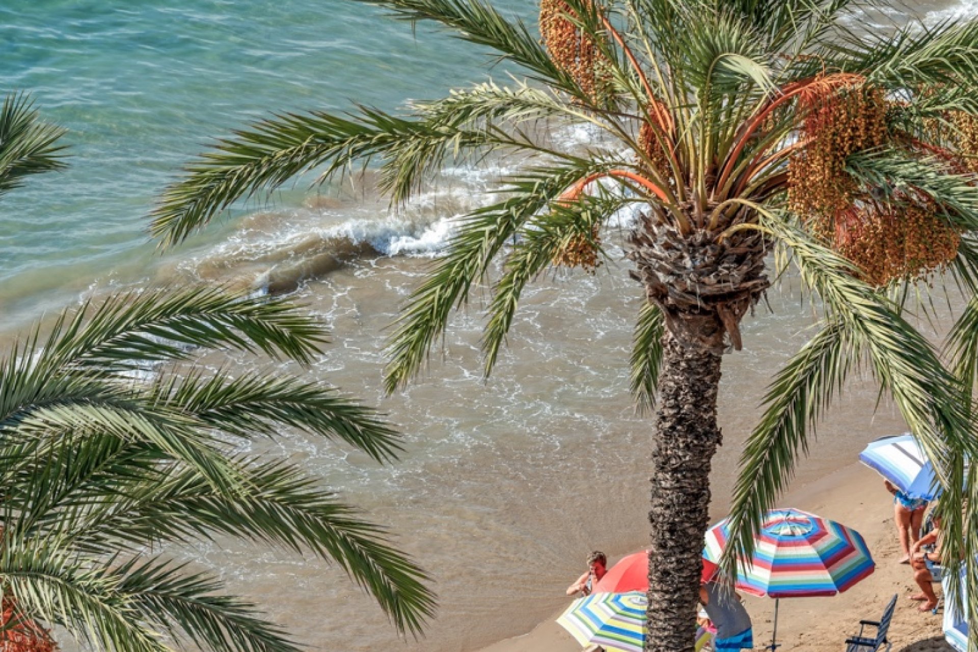 Herverkoop - Appartement / flat - Torrevieia - Torrevieja