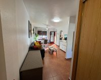 Herverkoop - Appartement / flat - Torrevieia - Torrevieja