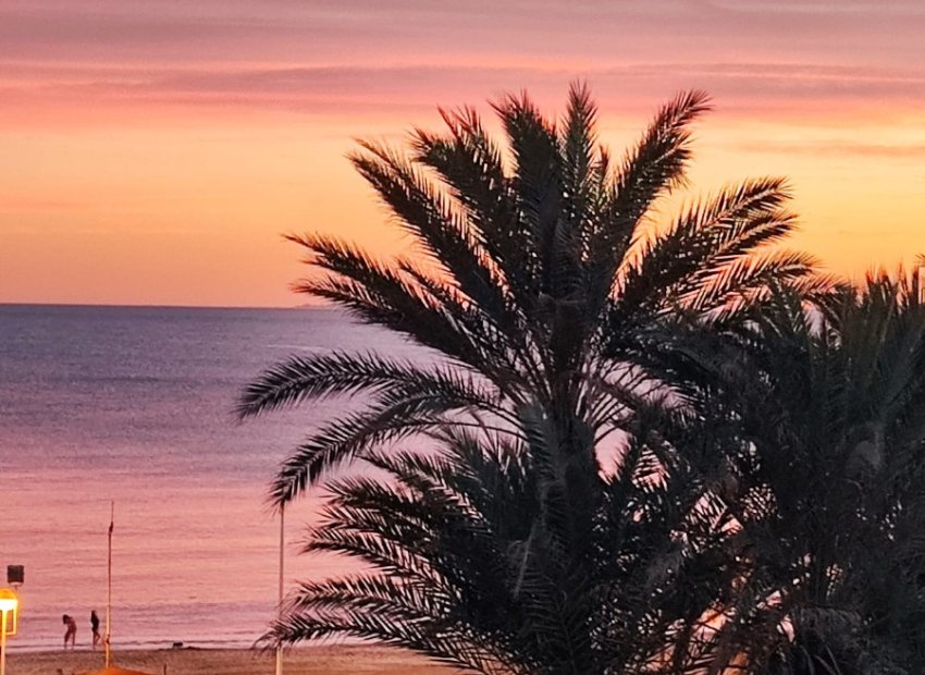 Herverkoop - Appartement / flat - Torrevieia - Torrevieja