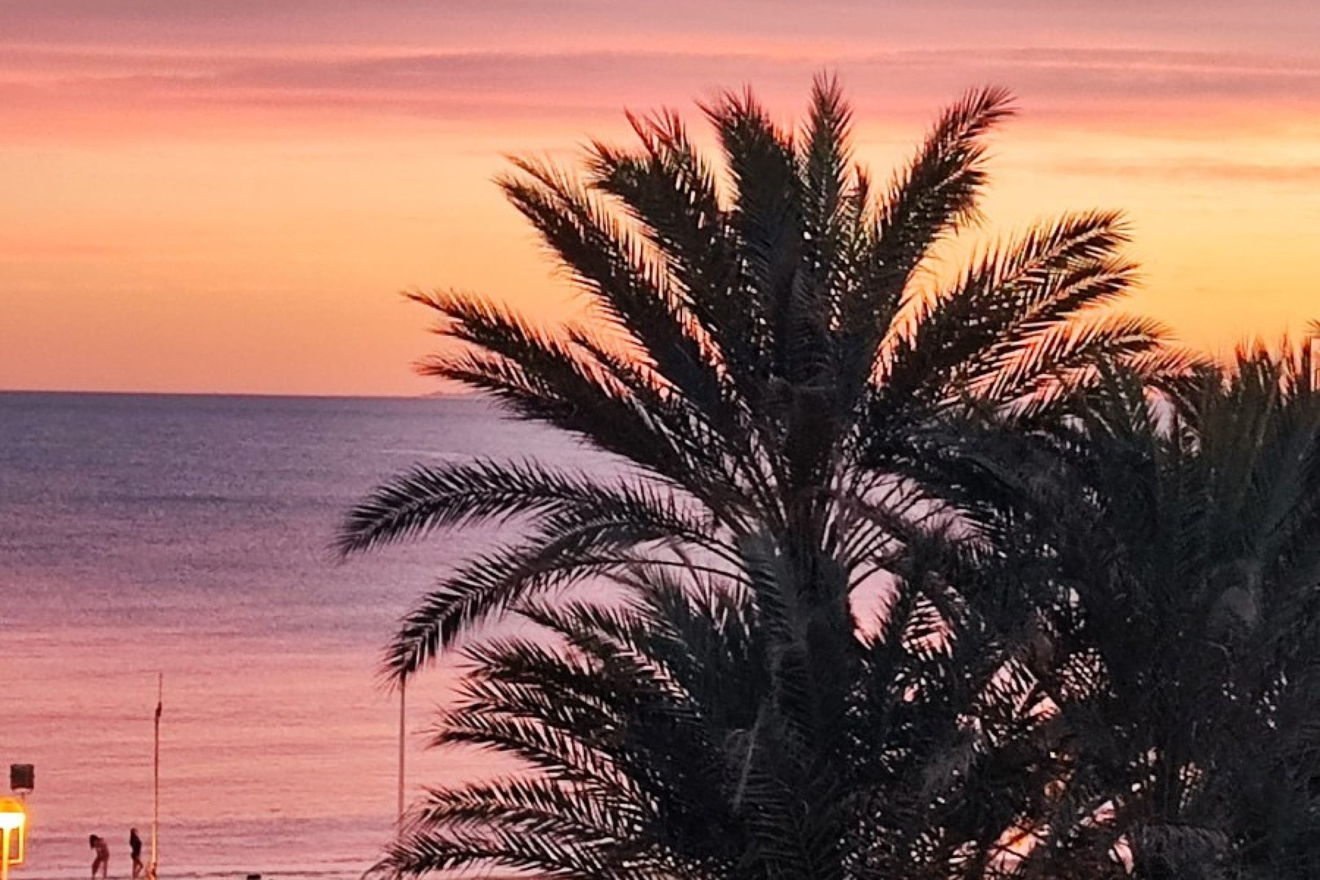 Herverkoop - Appartement / flat - Torrevieia - Torrevieja