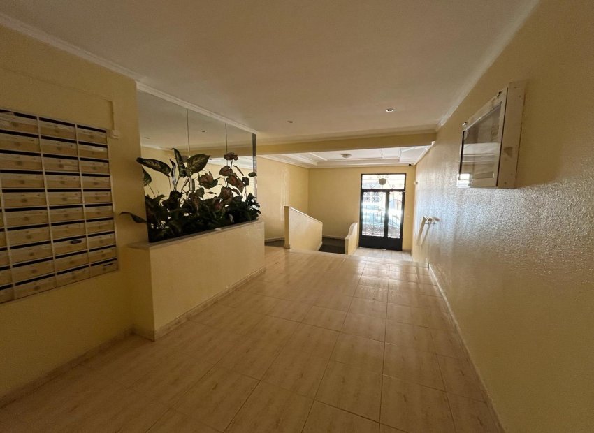 Herverkoop - Appartement / flat - Torrevieia - Torrevieja