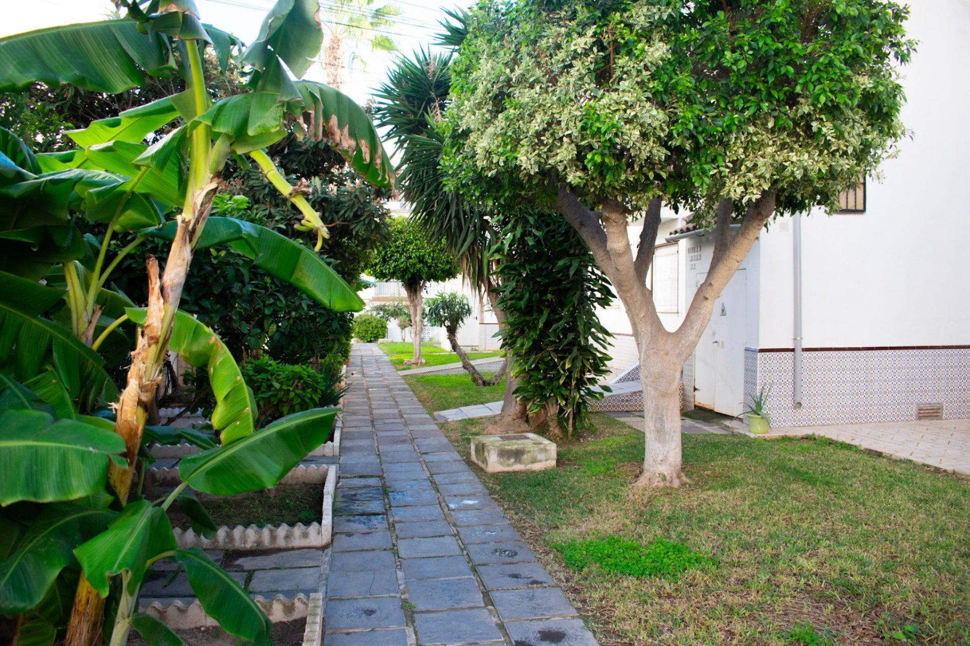 Herverkoop - Appartement / flat - Torrevieia - Torrevieja