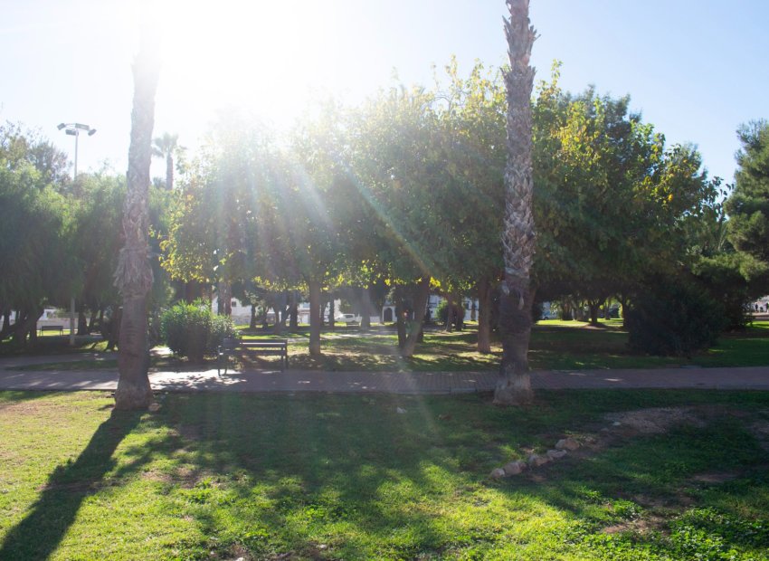 Herverkoop - Appartement / flat - Torrevieia - Torrevieja