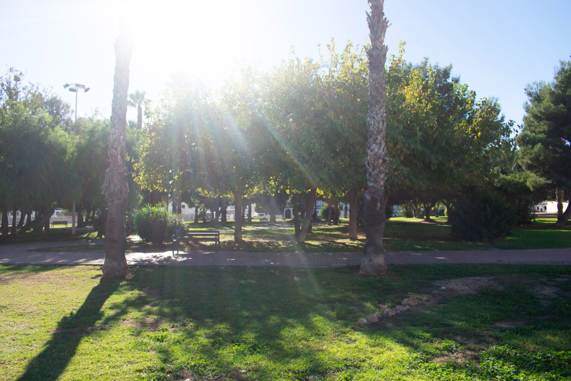 Herverkoop - Appartement / flat - Torrevieia - Torrevieja