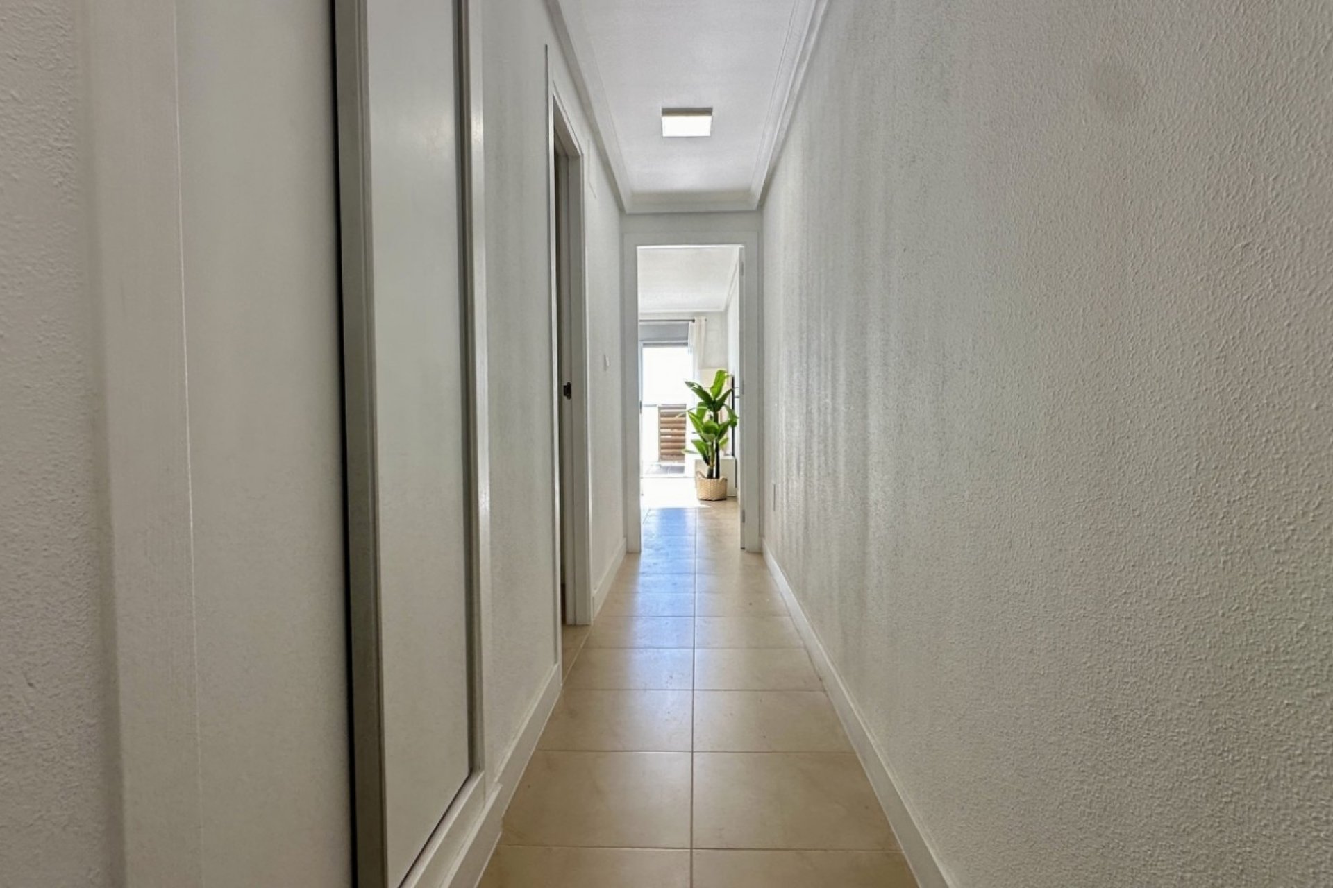 Herverkoop - Appartement / flat - Torrevieia - Torrevieja