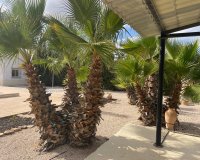 Herverkoop - Country House - Abanilla