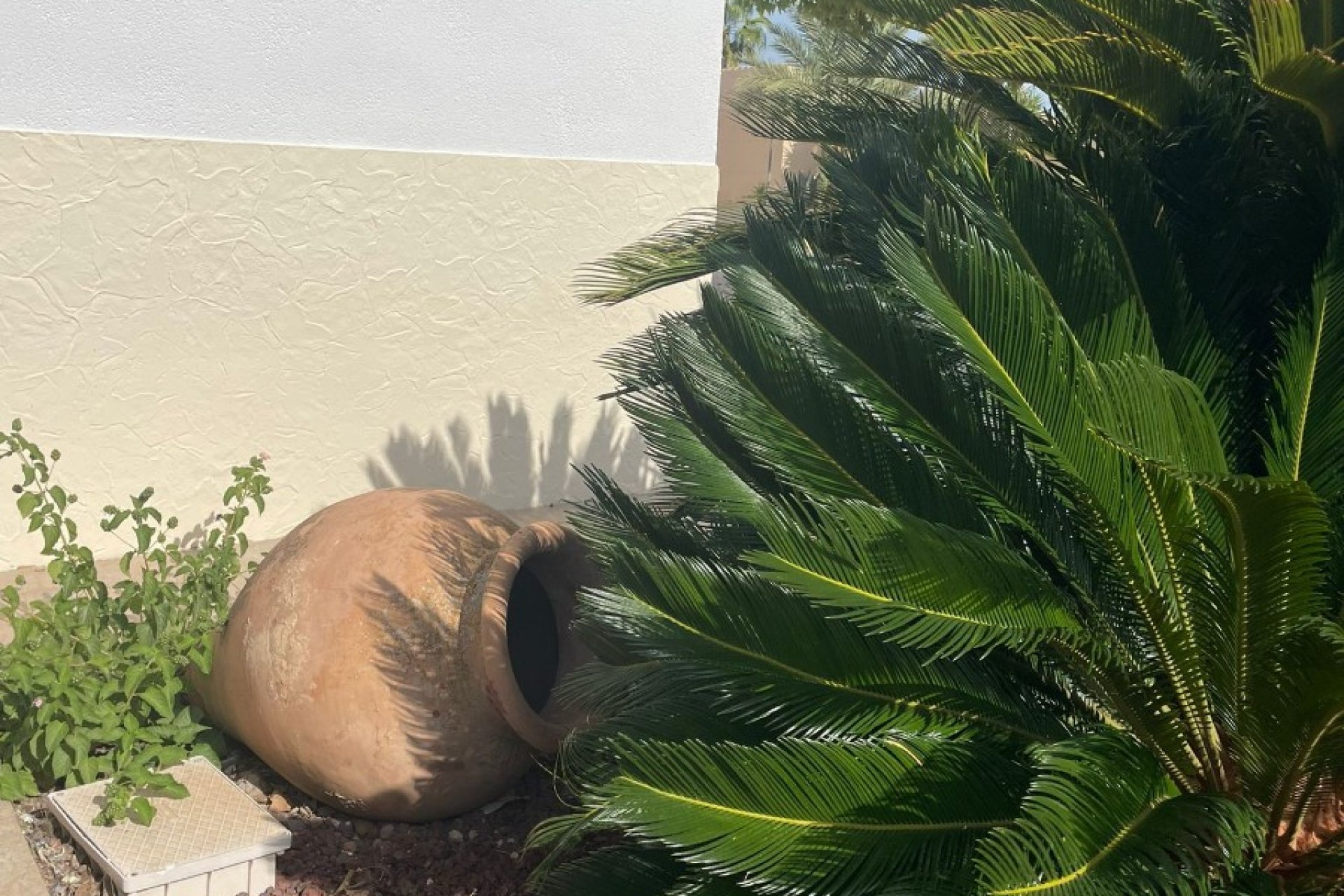 Herverkoop - Country House - Abanilla