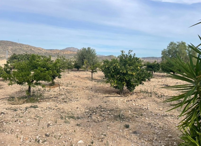 Herverkoop - Country House - Abanilla