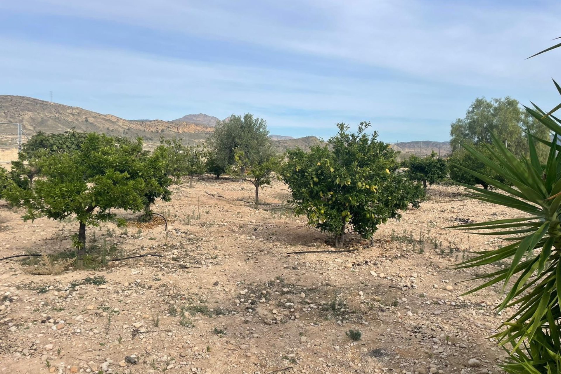 Herverkoop - Country House - Abanilla