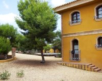 Herverkoop - Country House - Ciudad Quesada - Lo Pepin