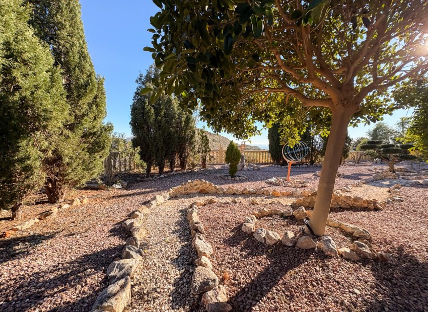 Herverkoop - Country House - Crevillente