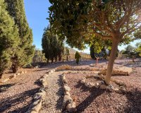 Herverkoop - Country House - Crevillente