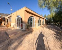 Herverkoop - Country House - Crevillente