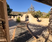 Herverkoop - Country House - Crevillente