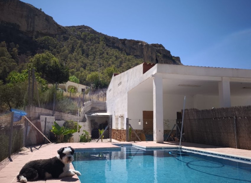 Herverkoop - Country House - Crevillente