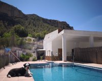 Herverkoop - Country House - Crevillente