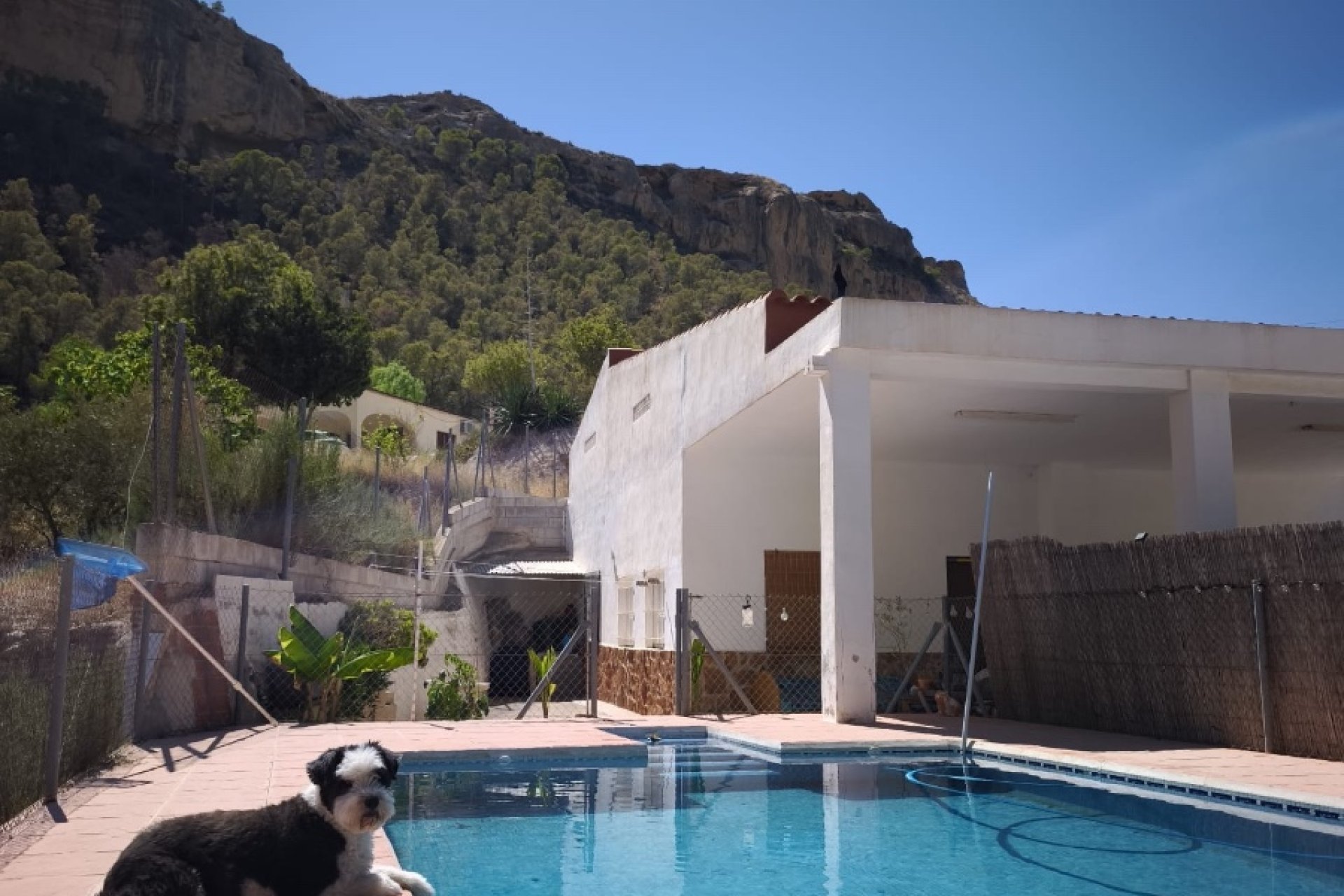 Herverkoop - Country House - Crevillente