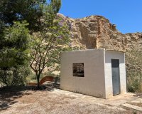Herverkoop - Country House - Crevillente