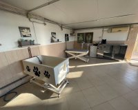 Herverkoop - Country House - Elche - Las Bayas