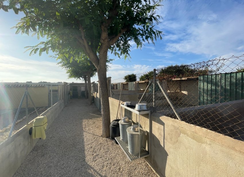 Herverkoop - Country House - Elche - Las Bayas