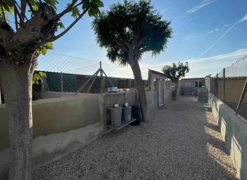 Herverkoop - Country House - Elche - Las Bayas