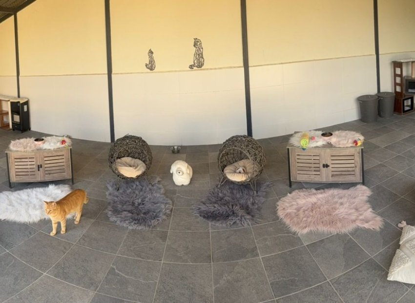 Herverkoop - Country House - Elche - Las Bayas