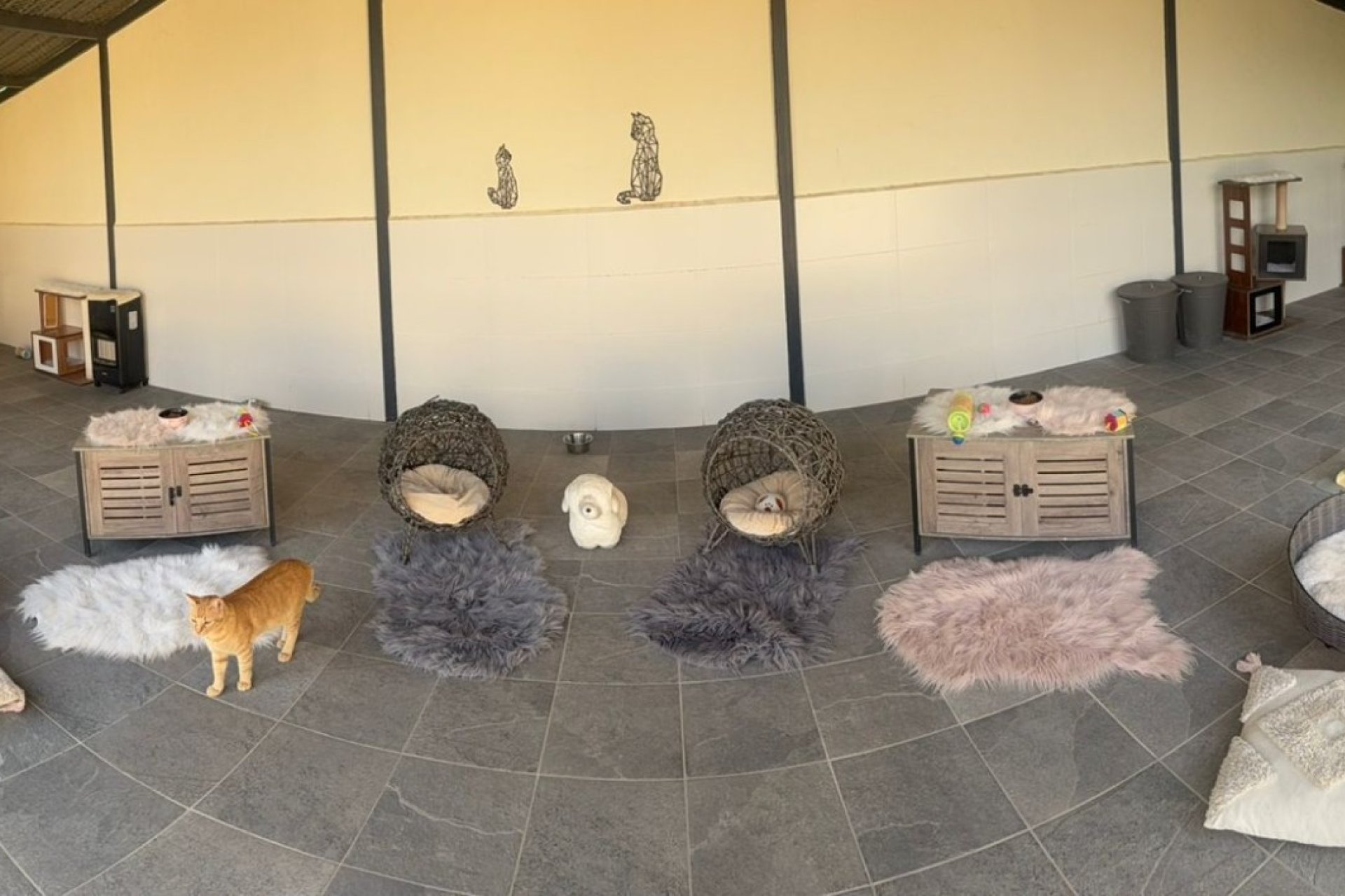 Herverkoop - Country House - Elche - Las Bayas