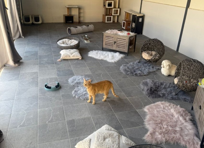 Herverkoop - Country House - Elche - Las Bayas