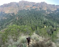 Herverkoop - Country House - Gea Truyols - Gea y Trujols