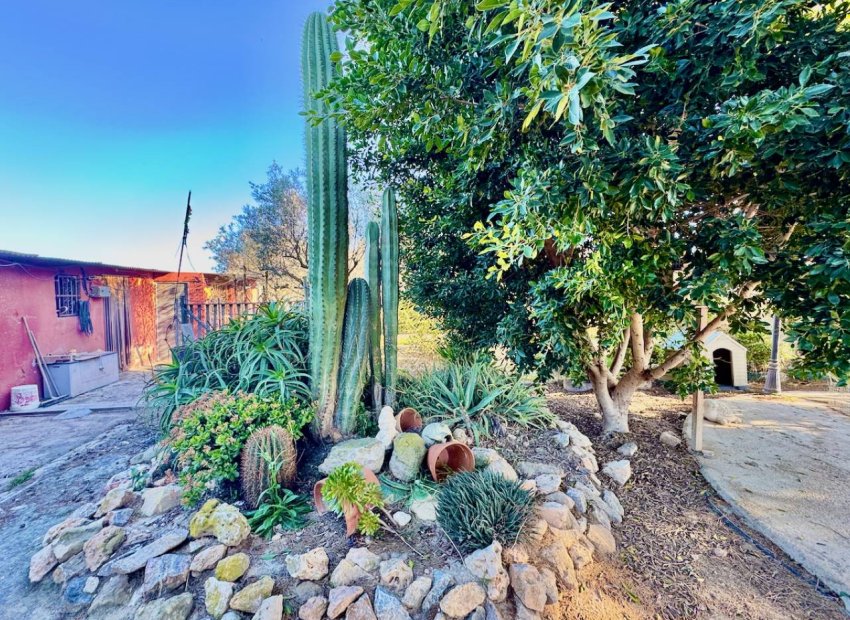 Herverkoop - Country House - Guardamar del Segura