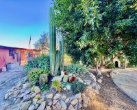 Herverkoop - Country House - Guardamar del Segura