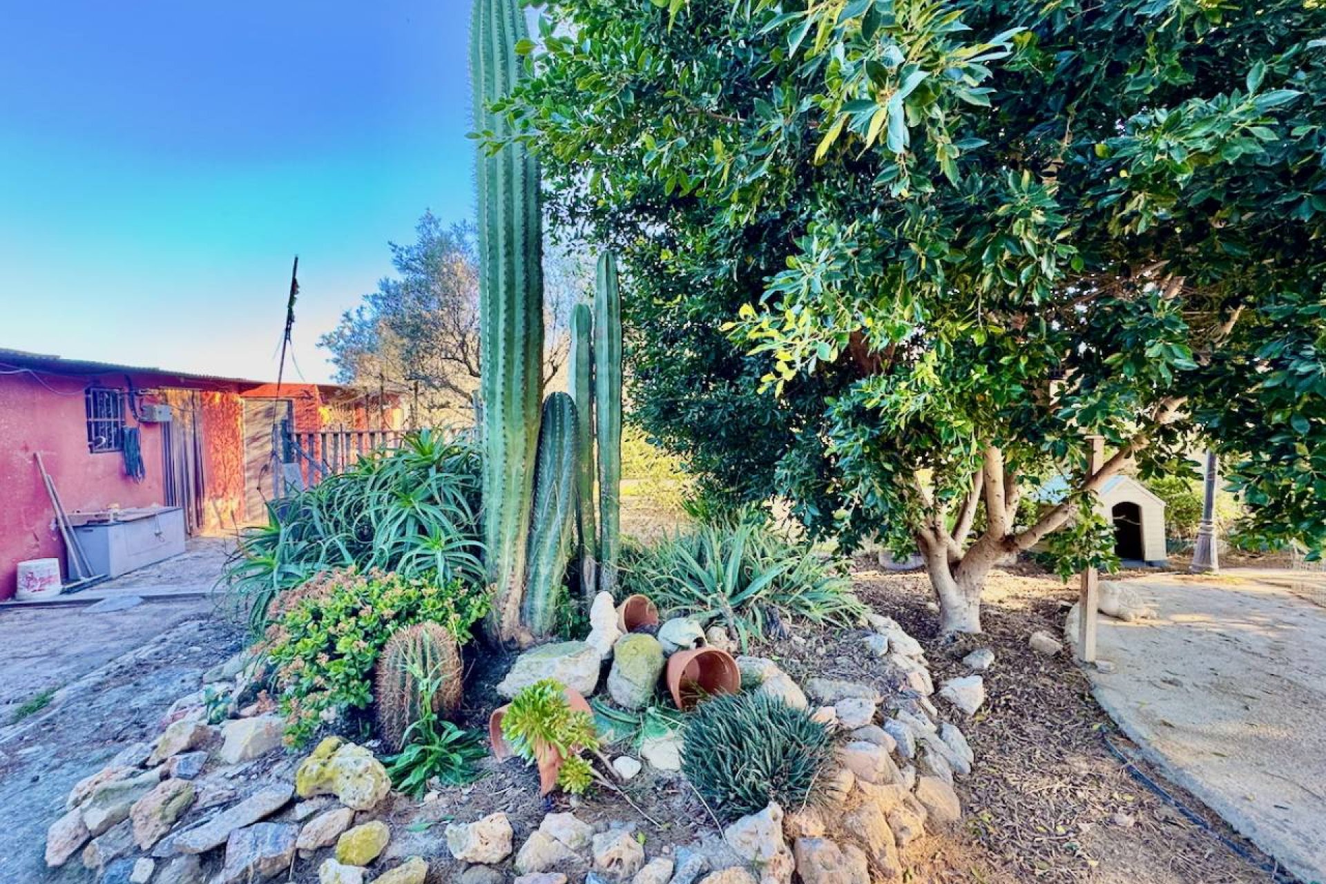 Herverkoop - Country House - Guardamar del Segura