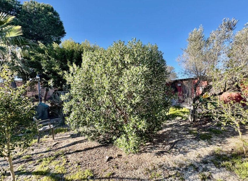 Herverkoop - Country House - Guardamar del Segura