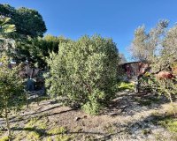 Herverkoop - Country House - Guardamar del Segura