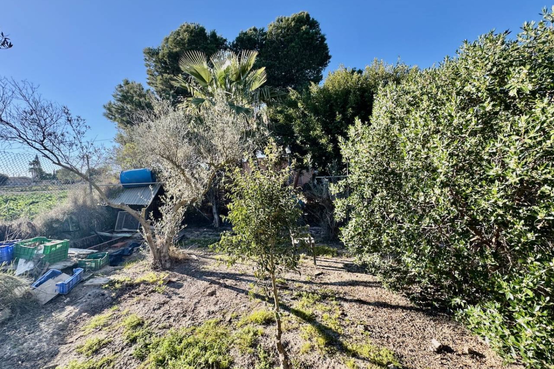 Herverkoop - Country House - Guardamar del Segura