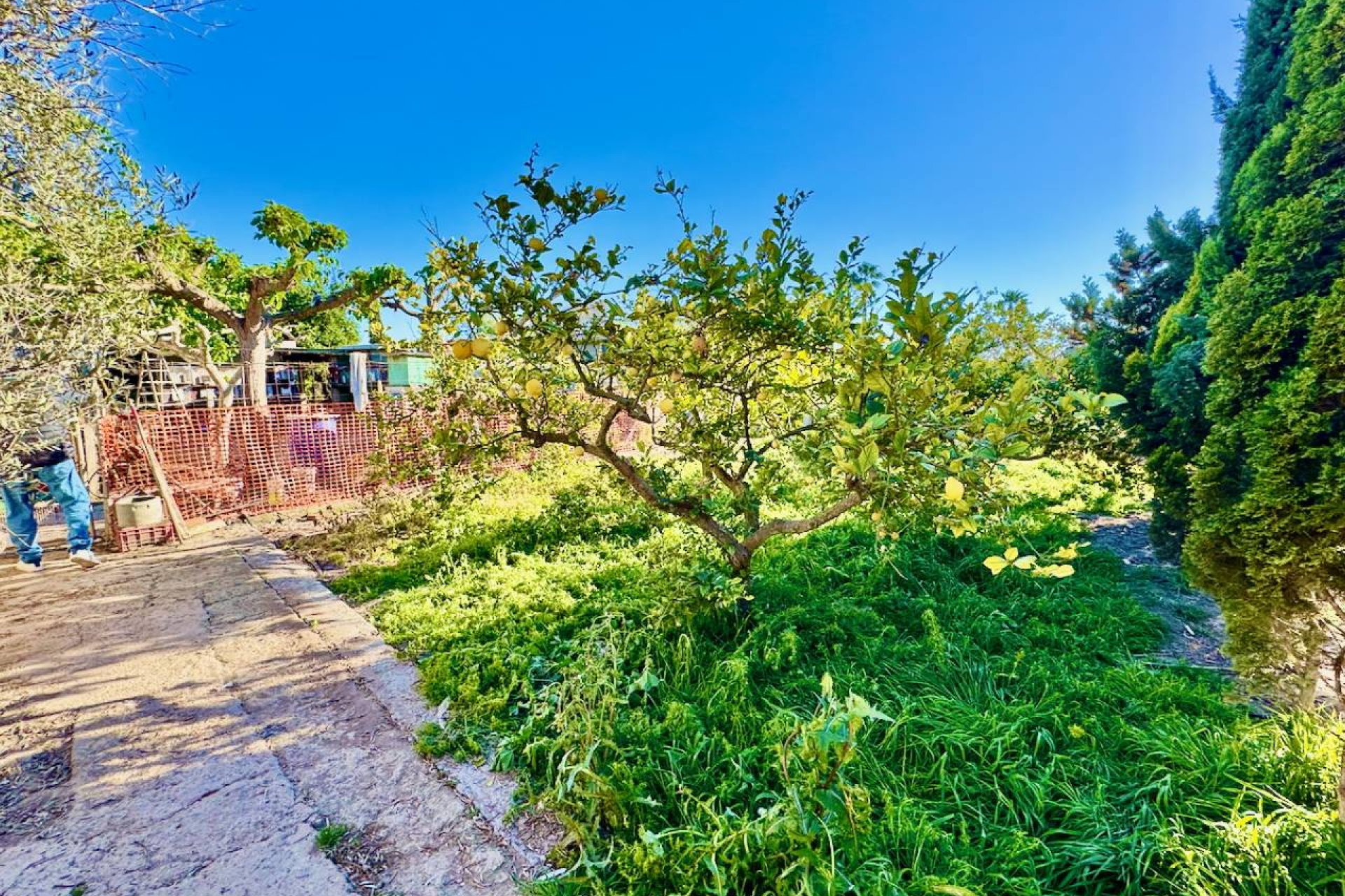 Herverkoop - Country House - Guardamar del Segura