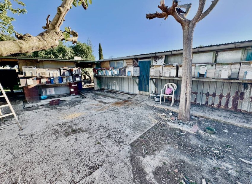 Herverkoop - Country House - Guardamar del Segura