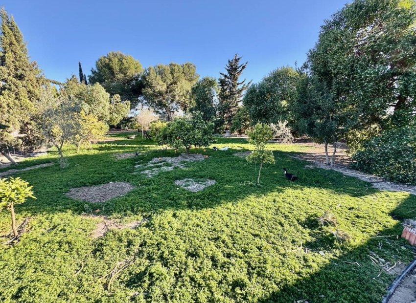 Herverkoop - Country House - Guardamar del Segura