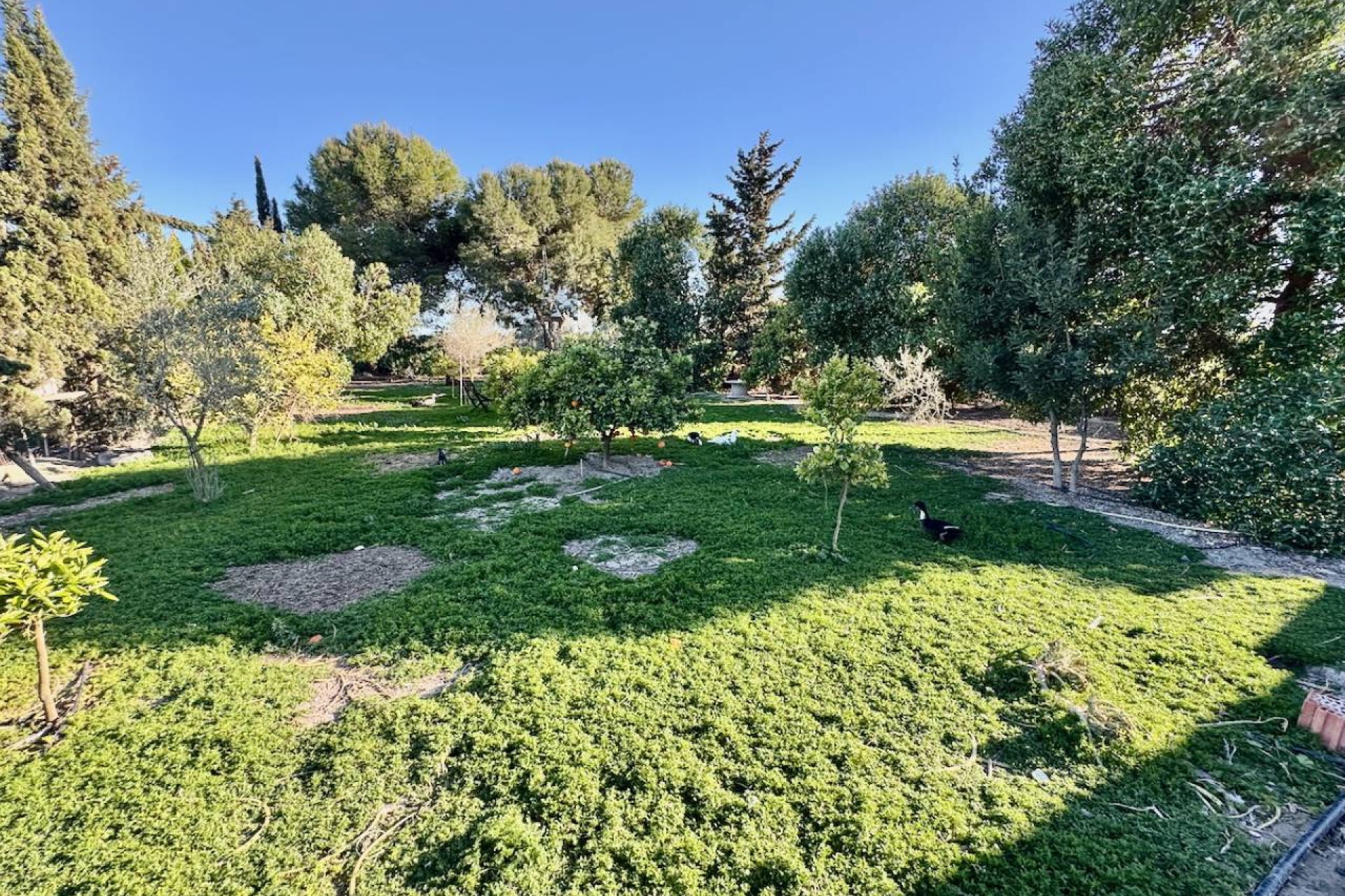 Herverkoop - Country House - Guardamar del Segura