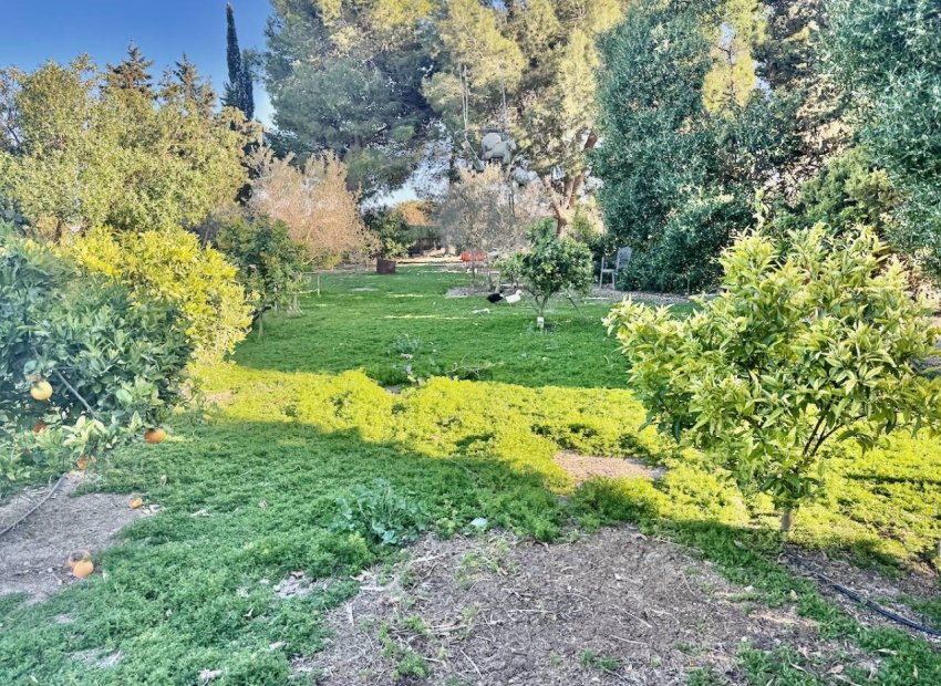 Herverkoop - Country House - Guardamar del Segura