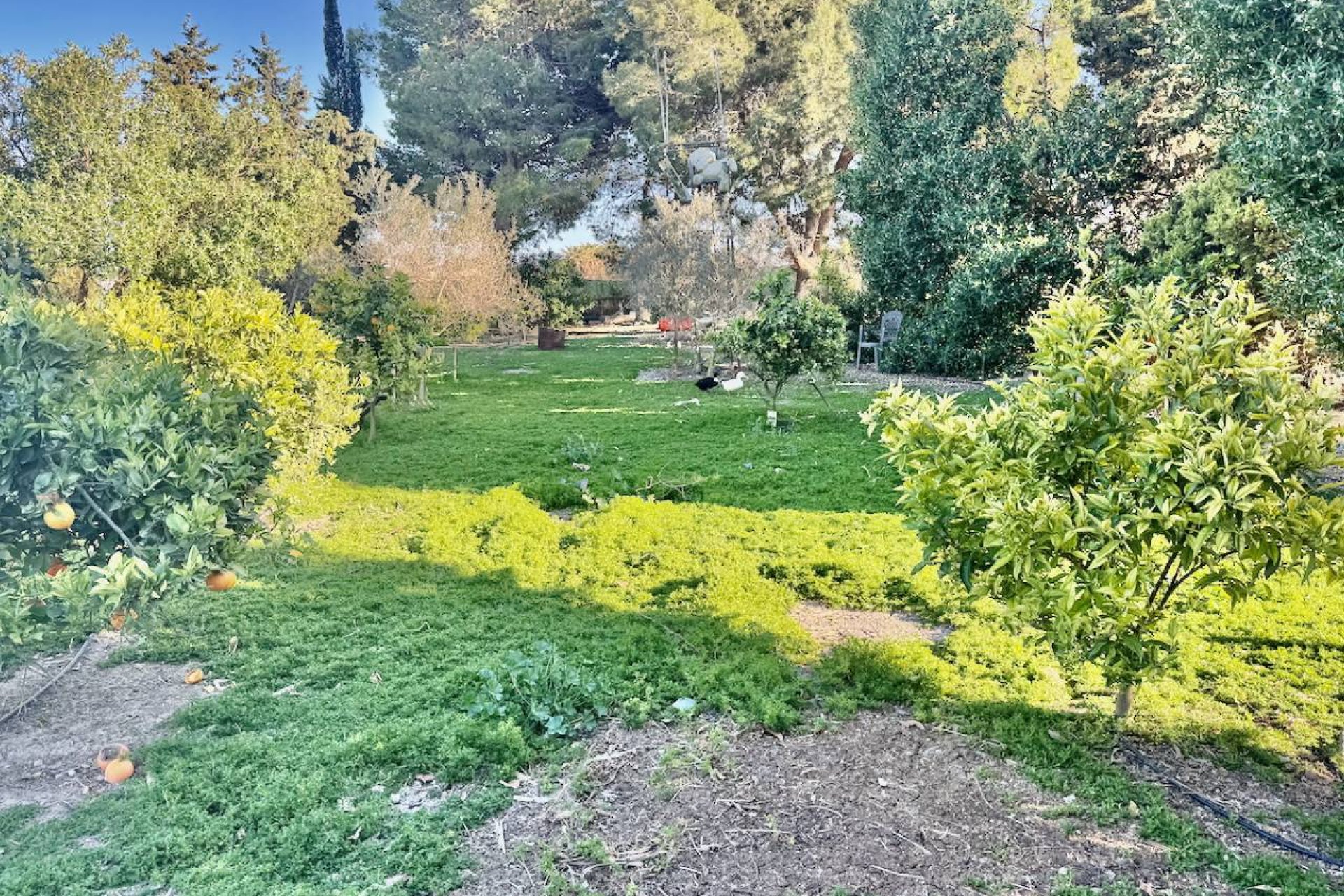 Herverkoop - Country House - Guardamar del Segura