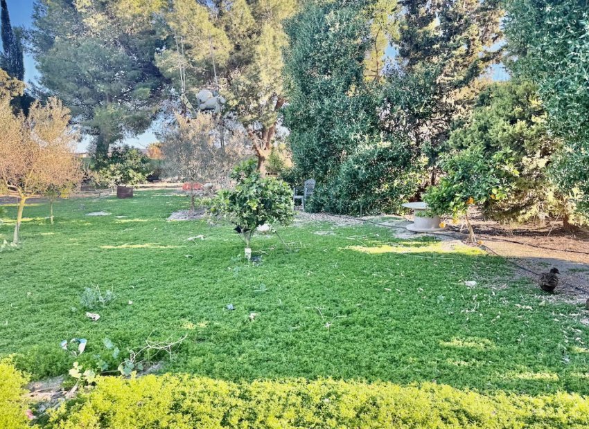 Herverkoop - Country House - Guardamar del Segura