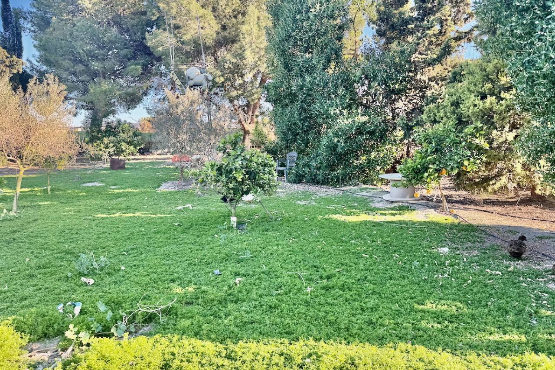 Herverkoop - Country House - Guardamar del Segura