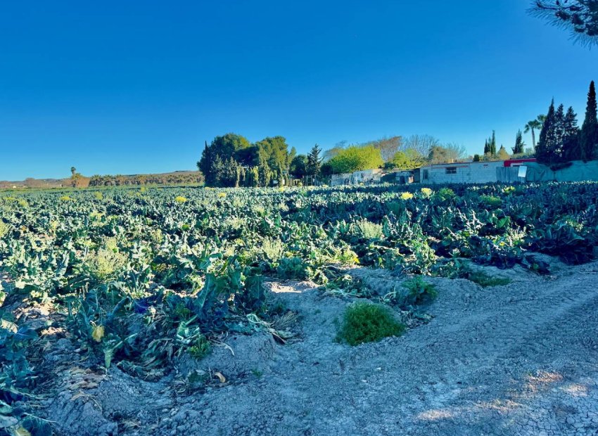 Herverkoop - Country House - Guardamar del Segura