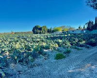 Herverkoop - Country House - Guardamar del Segura