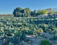 Herverkoop - Country House - Guardamar del Segura