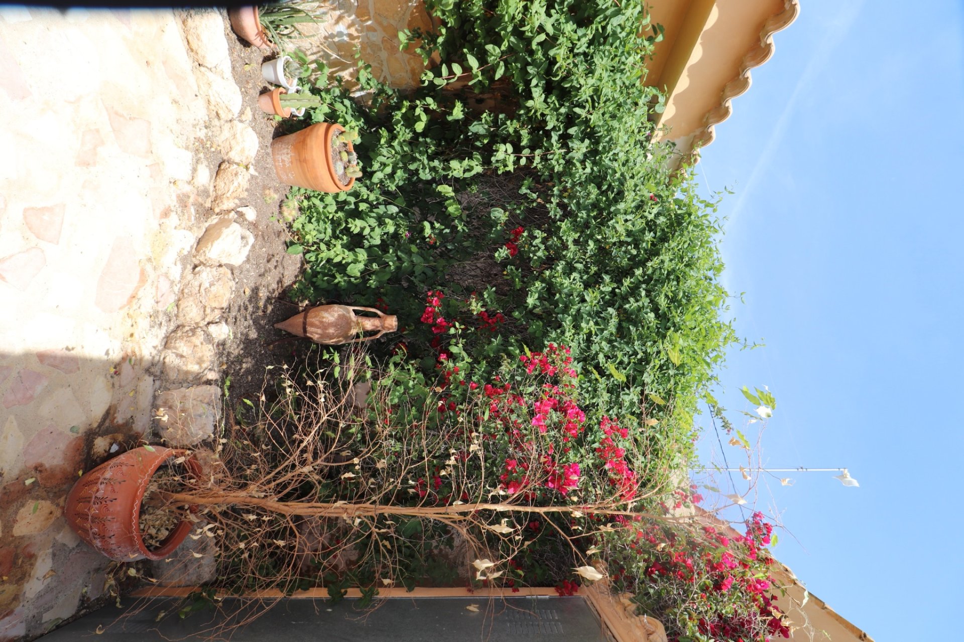 Herverkoop - Country House - Hondón de las Nieves - La Canalosa