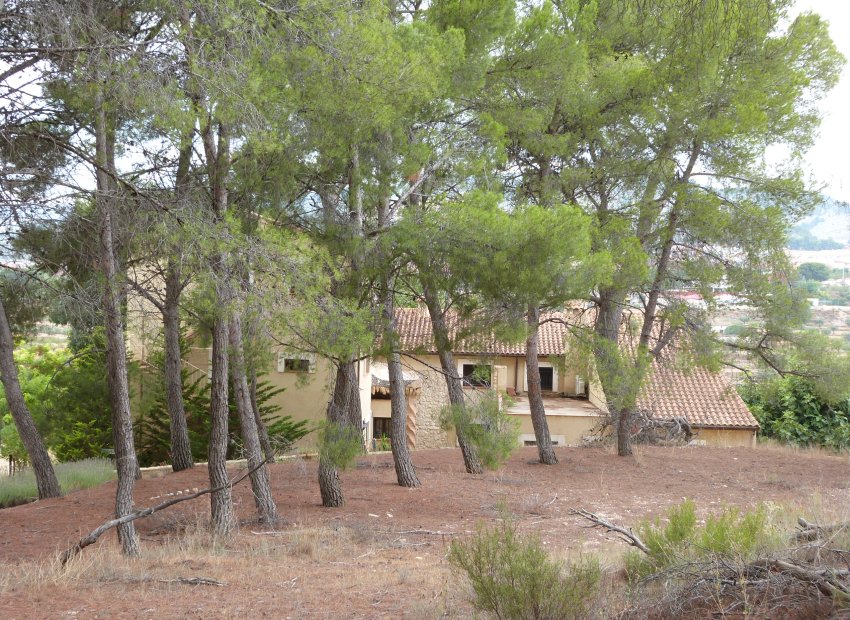 Herverkoop - Country House - Ibi - Ibi - Country