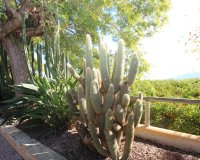 Herverkoop - Country House - Murcia - Costa Blanca